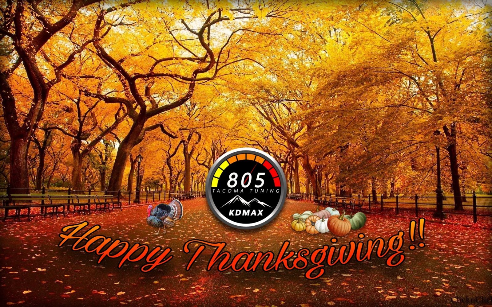 Picsart_23-11-23_09-53-28-198.jpg