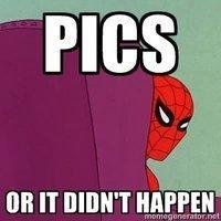 picsOrItDidntHappen_SpiderMan.jpg