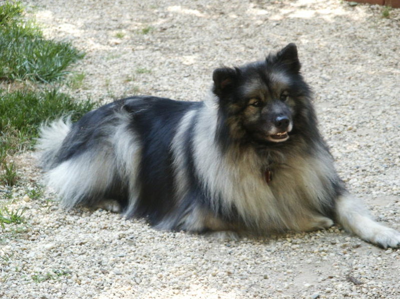 PICT0008.jpg