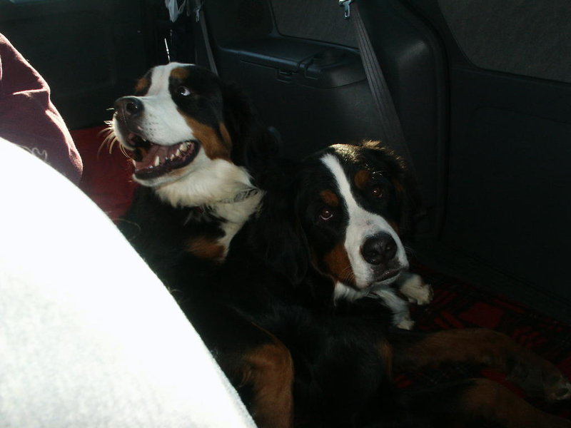 PICT0034.jpg