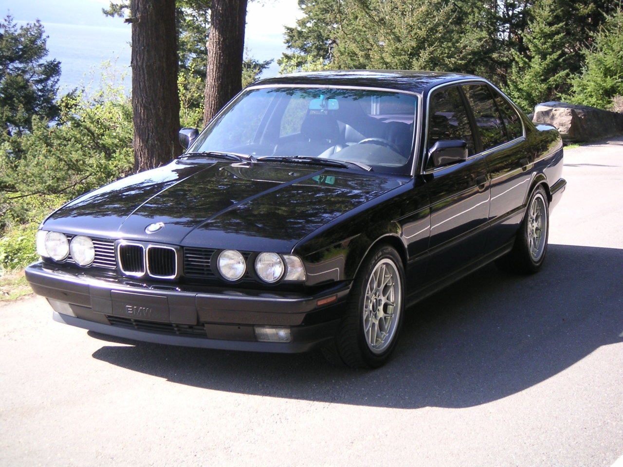 PICT0043.jpg