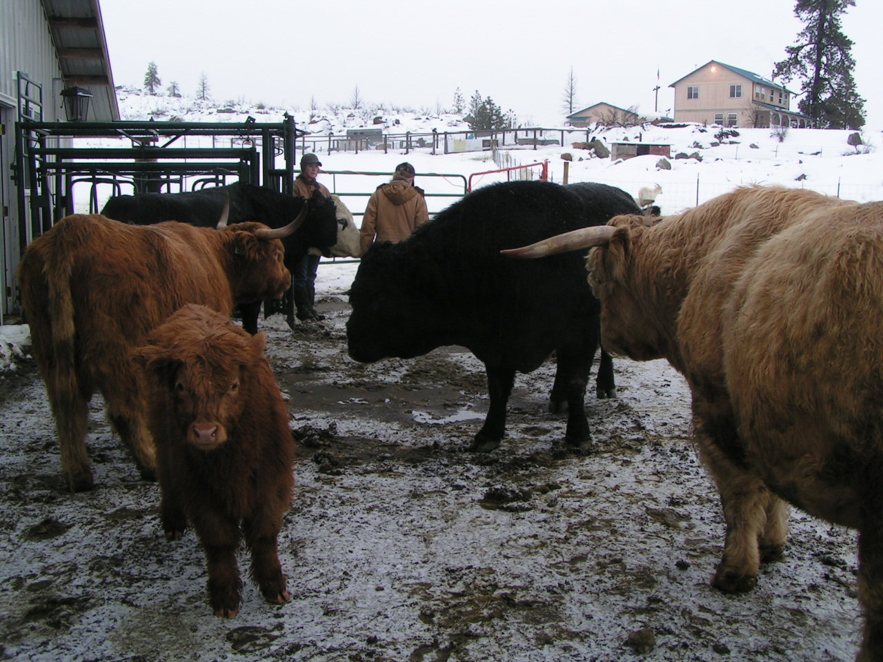 PICT0098.jpg