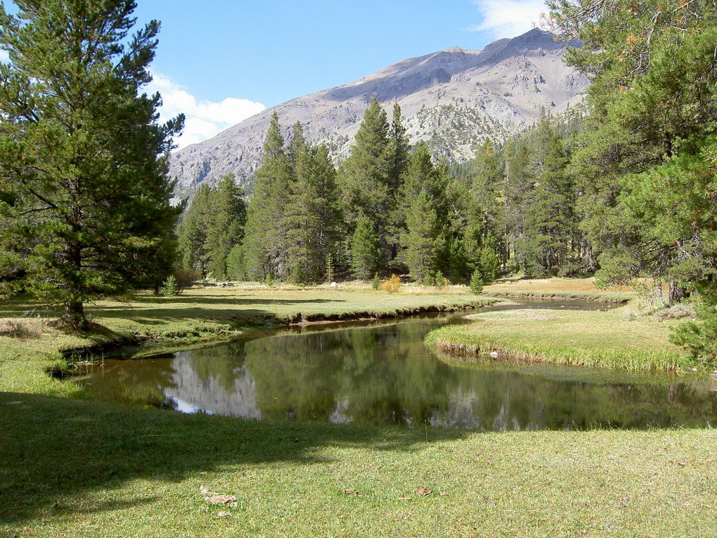 PICT1728.jpg
