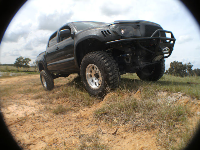 PICT2951_9f7604229aa950cc3d00738205dfcd095e221b50.jpg