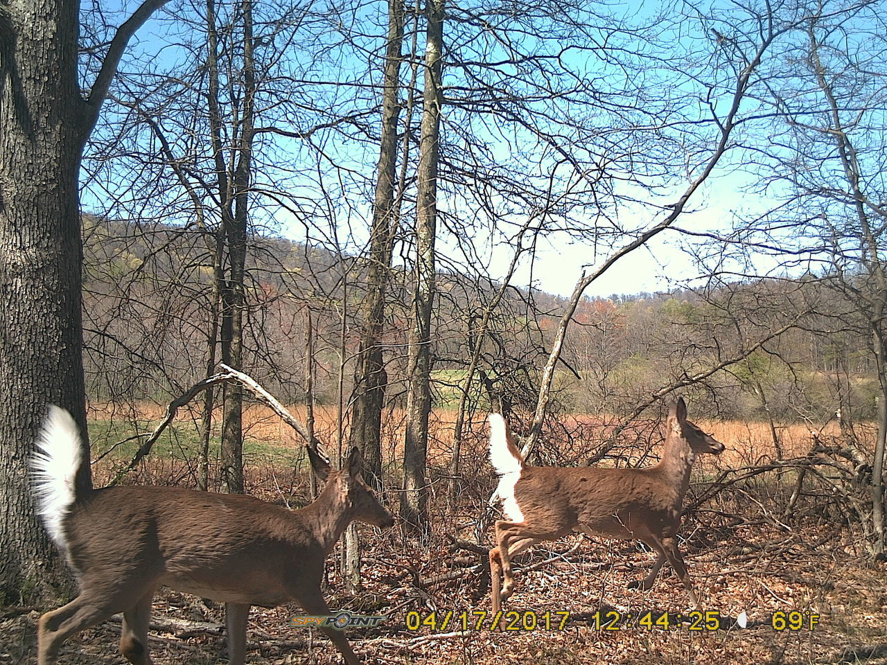 PICT3887.jpg
