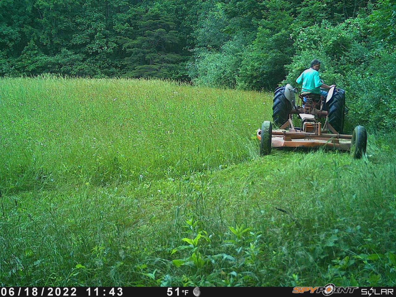 PICT5793.jpg