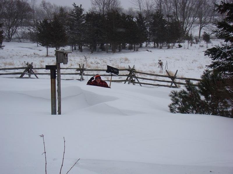 Picton Jan 25th 2014.jpg