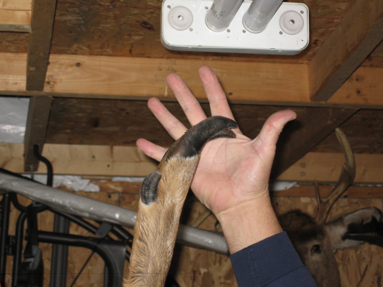 Picture 003.jpg
