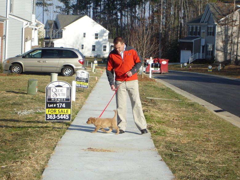 Picture 008.jpg