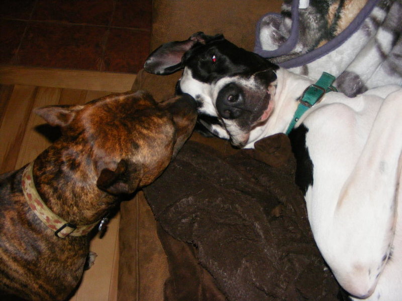 Picture 011.jpg