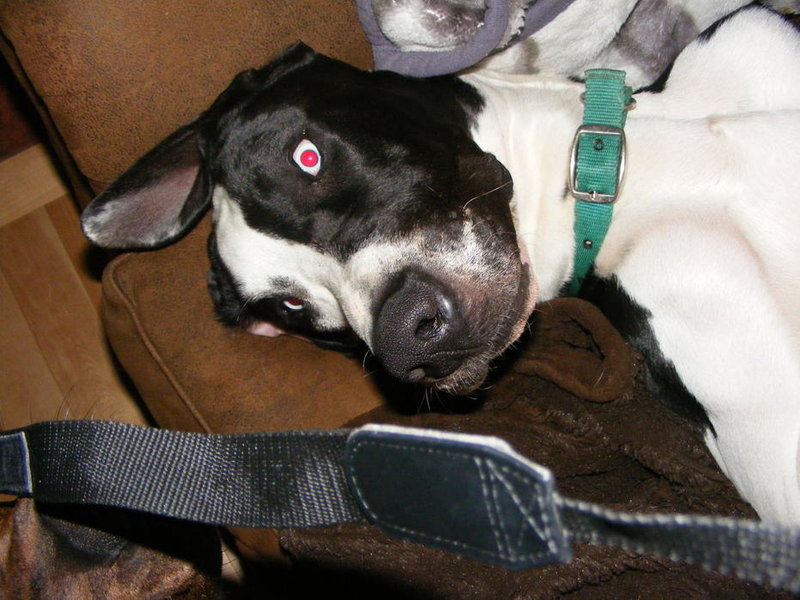 Picture 013.jpg