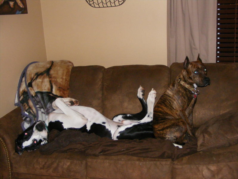 Picture 015.jpg