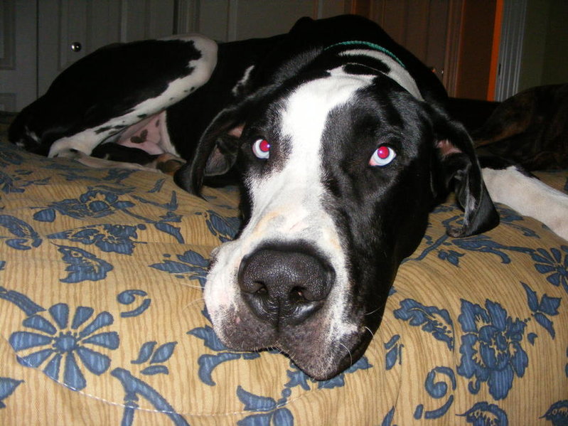 Picture 019.jpg