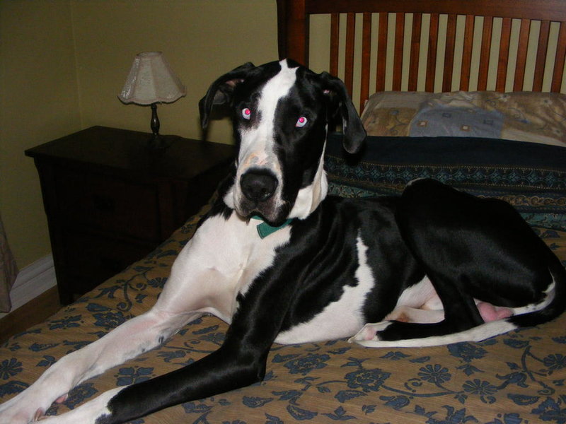 Picture 020.jpg