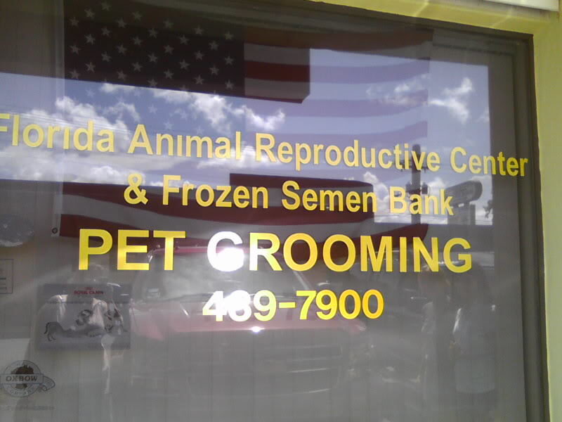 picture-4_bb9367d9e64ae3eeaee3a74ea27d668058eb732e.jpg