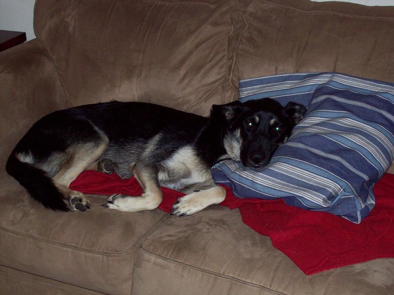 Picture 620.jpg