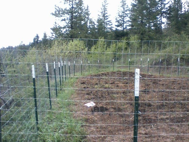 Picture0506171448_1.jpg