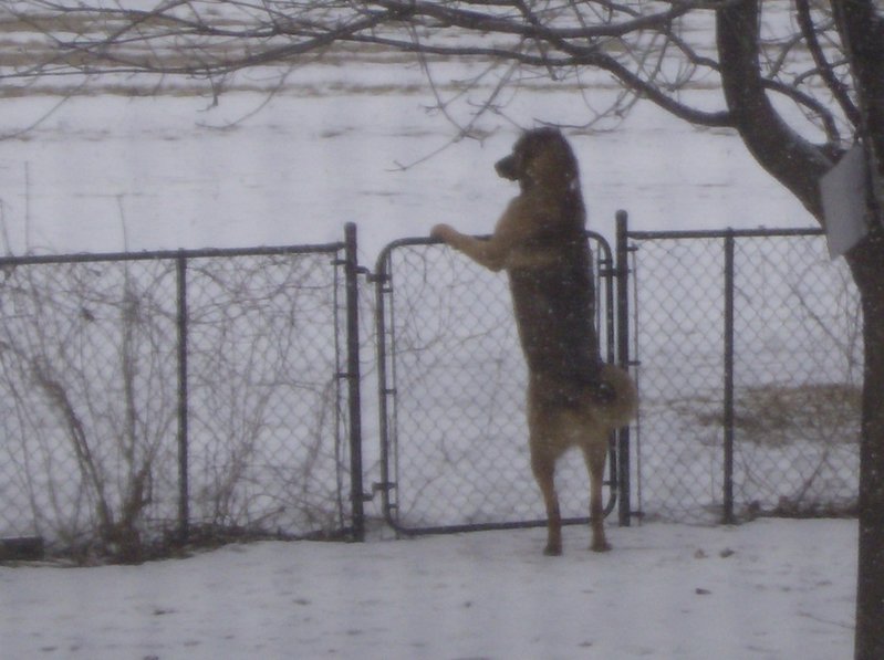 Picture1 004.jpg