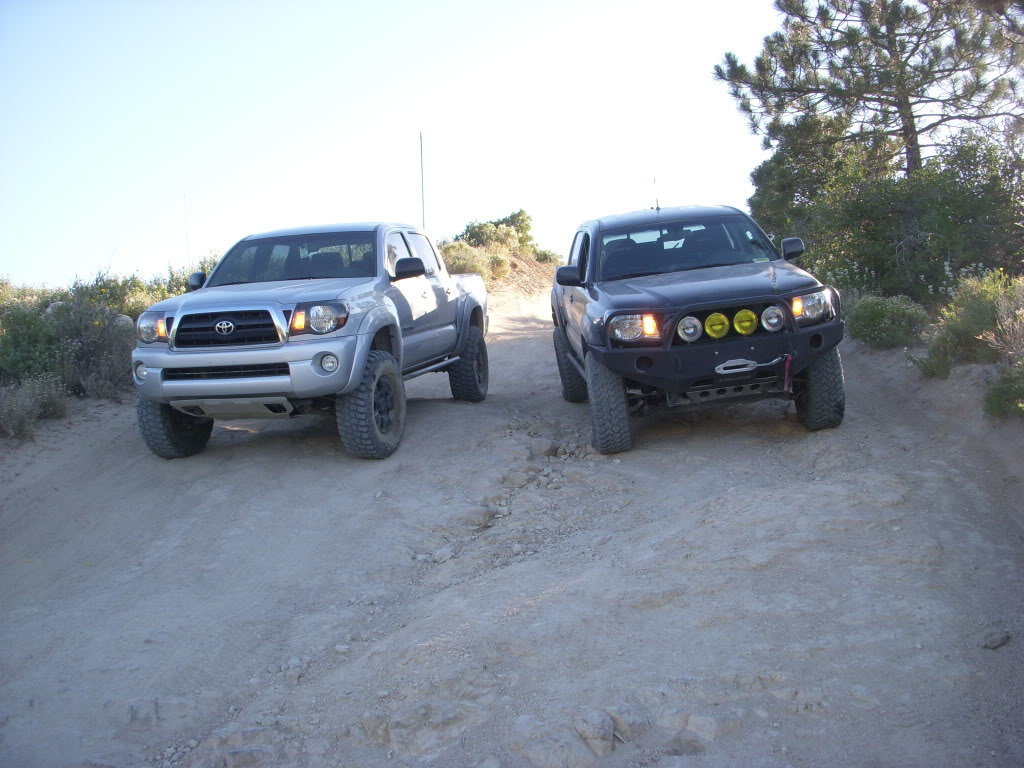 Picture155_56ef76a2b1941dcc6754d15e1427fa3f7a93cac3.jpg