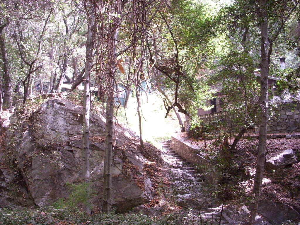 Picture169_a47ec33e6f58f312dc5cd0df701041237baf0de5.jpg