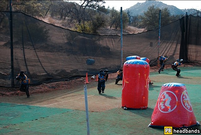 Picture1_332992b2c968df0ed4b681099ea59e70796e6cb9.jpg