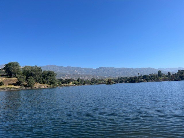 Picture2.jpg
