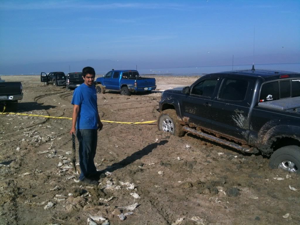 Picture590_2d5fd29d3555ef9c905dac13b77c1f68e8bb71c7.jpg