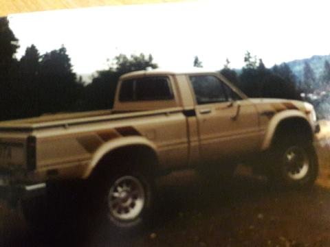 picture_006.jpg