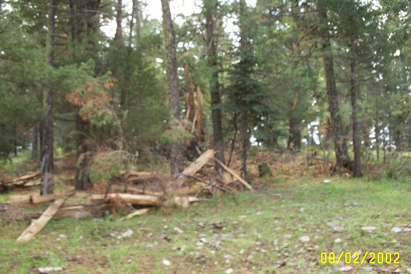 Picture_0165.jpg