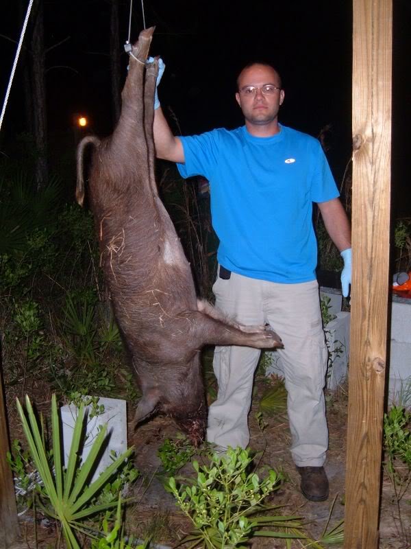 pig008_9c5be5e5af412cc00f8634908924dde322963881.jpg