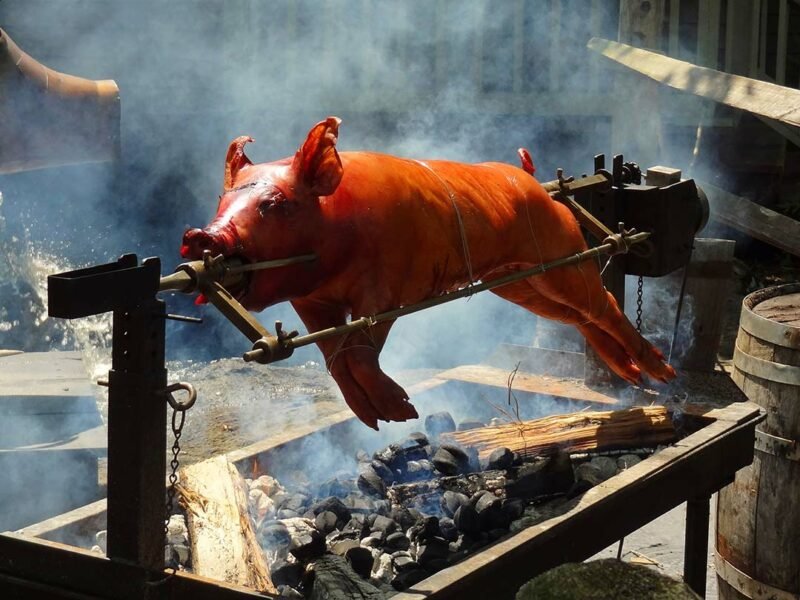 pig_on_spit_128213814-800x600.jpg