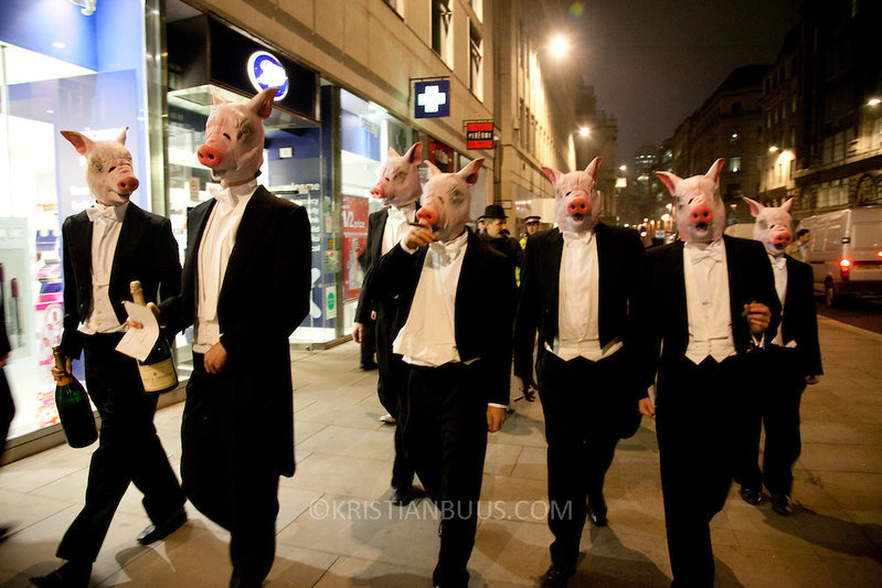 pigs in tux.jpg