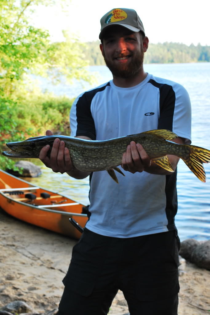 pike_1d85d5d0e929bf65033883a31c1c73a705ac922b.jpg