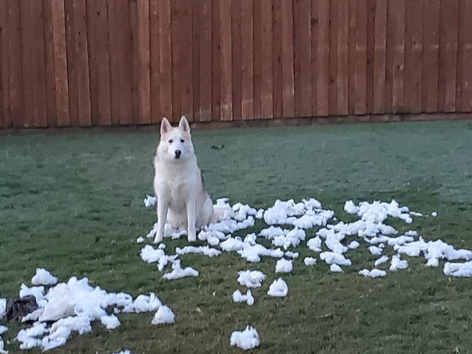 pillow.jpg