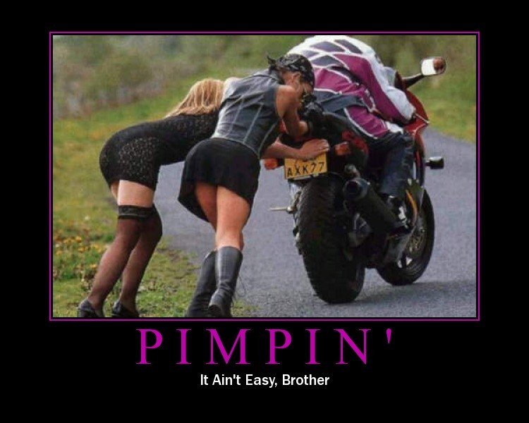 Pimpin.jpg