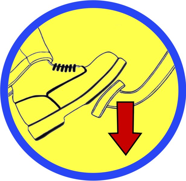 pin it.jpg
