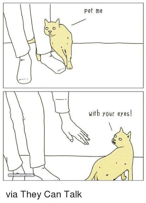 pinhumour-com-pet-me-with-your-eyes-via-they-can-talk-21415078.jpg