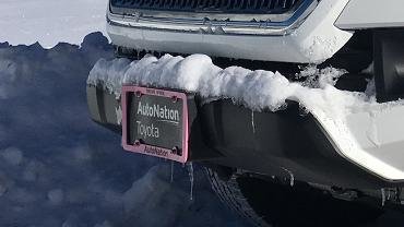 Pink.jpg