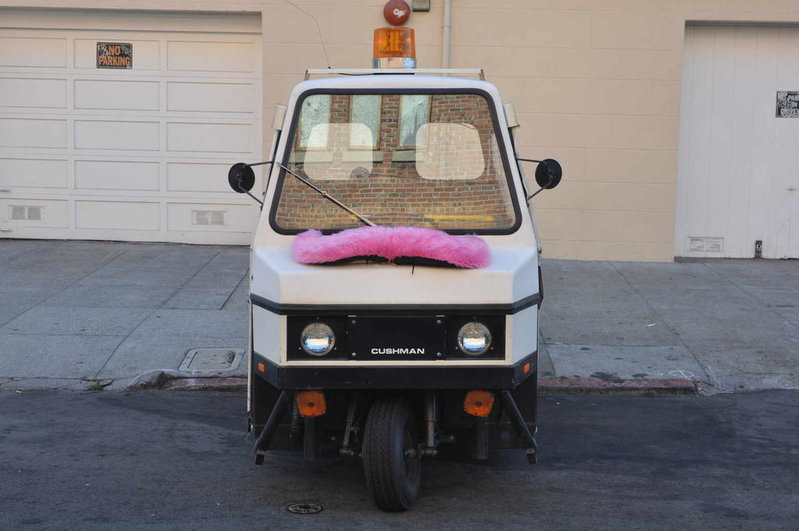 pink-mustache-cushman.jpg