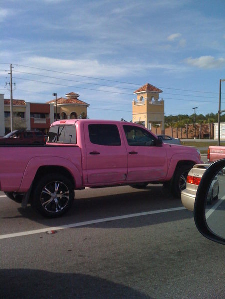 pink taco.jpg