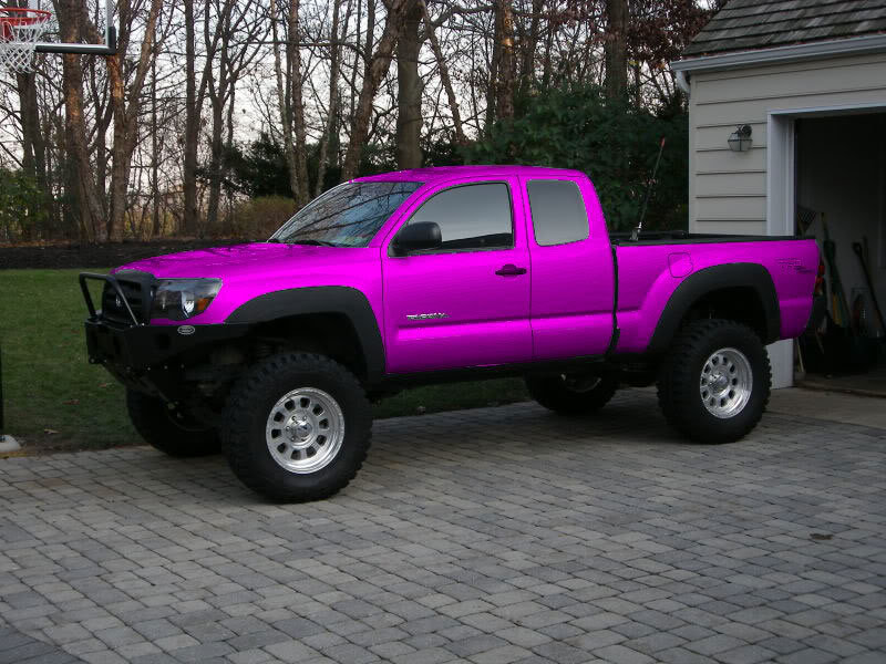 pink_40e6e6faa2b97408efcdac787b20a98ae62a2d18.jpg