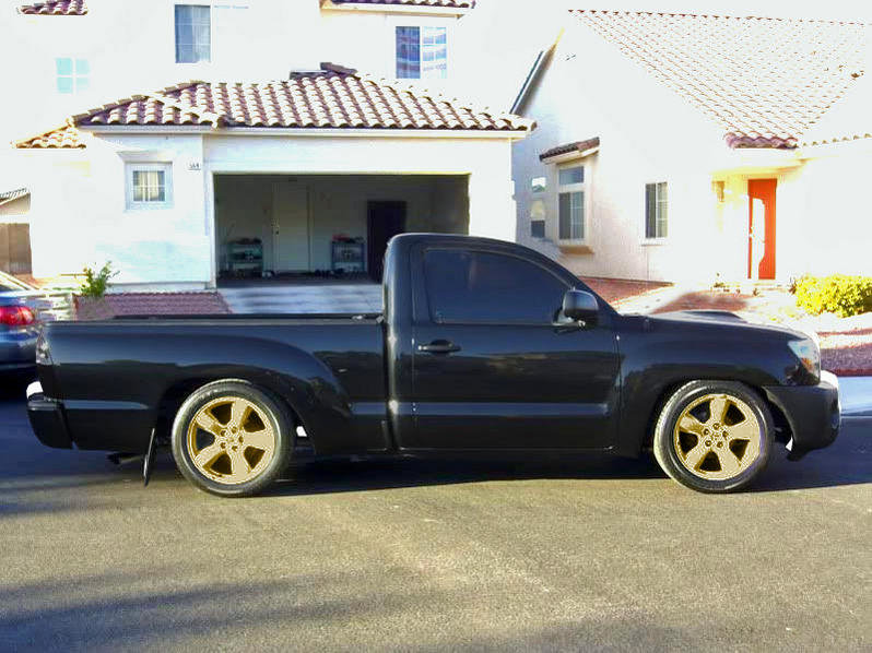 pinktaco-bronze.jpg