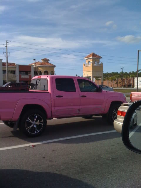pinktaco_03939c4304a5be5124d685cca0c0b6d9b7857f2b.jpg