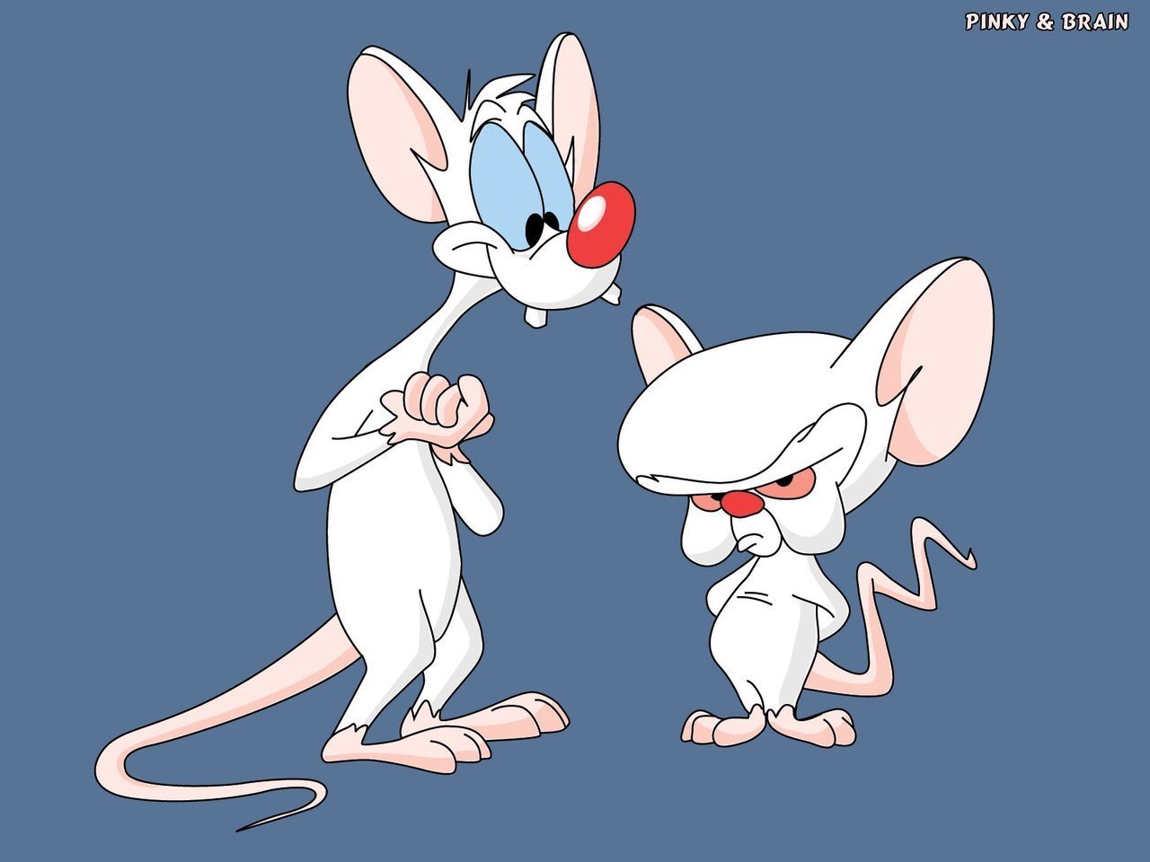 pinkyAndBrain_traced_e6e8040a8e75d348543b1c7f97473b0d070d375b.jpg