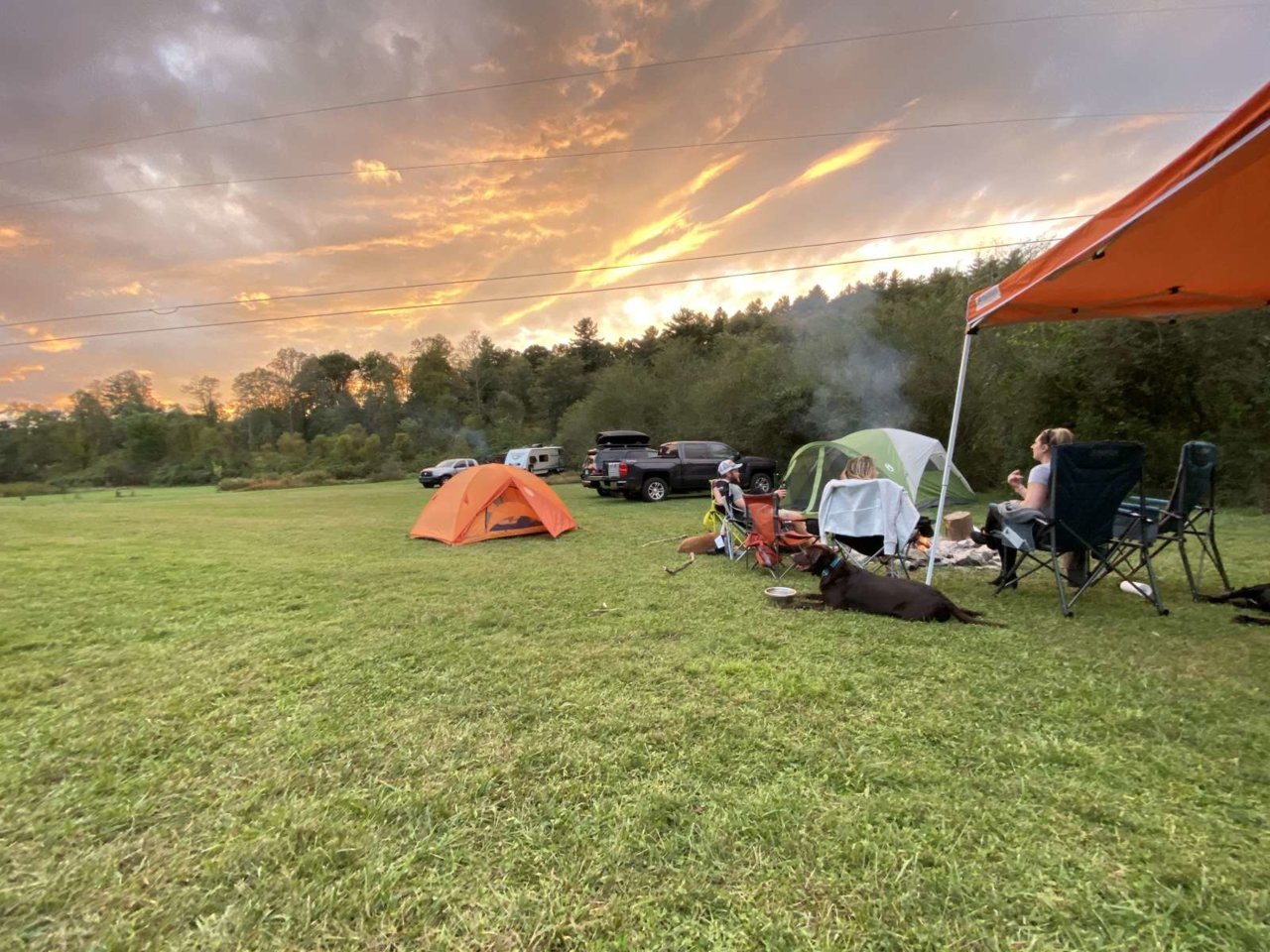 pisgah-forest-mountain-meadows-pisgah-forest-mountain-meadows.jpg