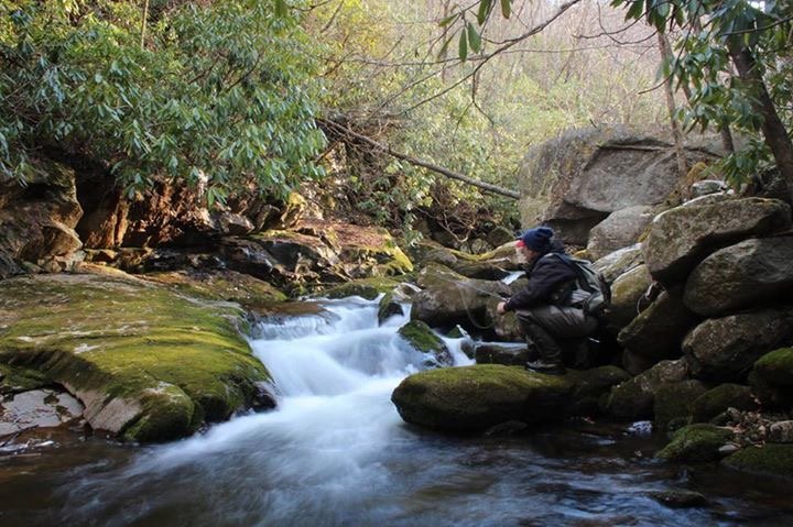 pisgah.jpg