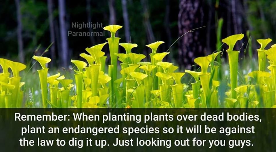 planting.jpg