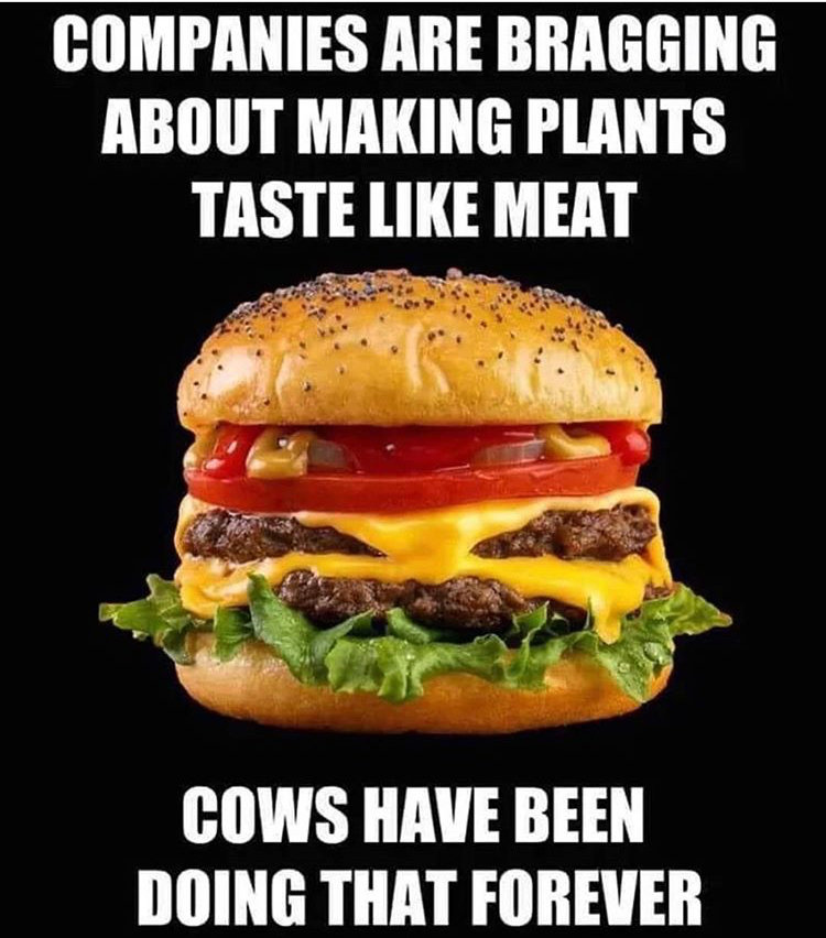 plants-like-meat.jpg