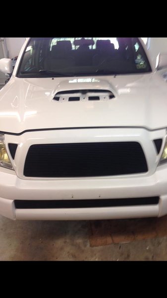 plasti dipp 1.jpg
