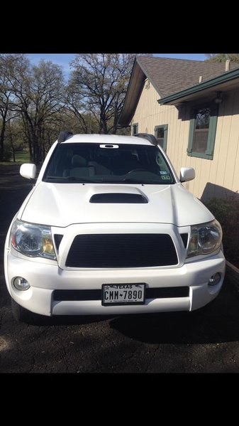 plasti dp 2.jpg